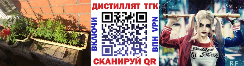 мега вход  Вилючинск  ТГК вейп с тгк 