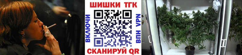 купить наркоту  Вилючинск  Канабис индика 